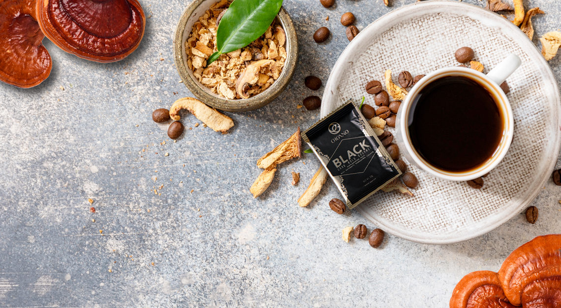 Guide to Reishi Coffees